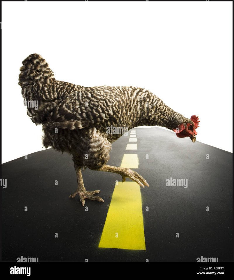 Netherlands - chicken road